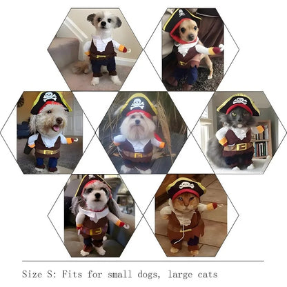 Pet Pirate Costume