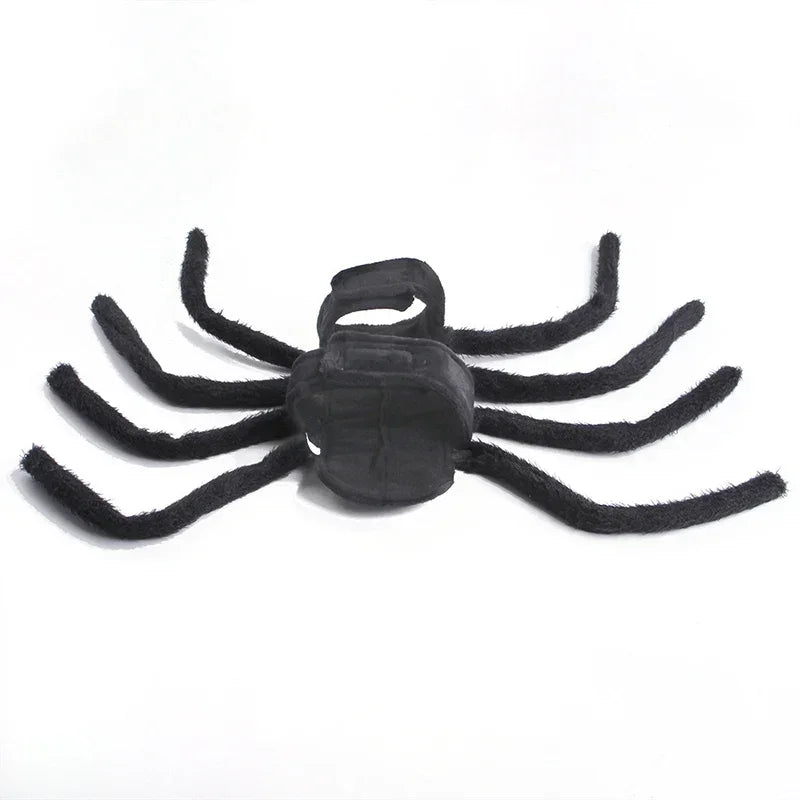 Pet Halloween Fun Spider Costume