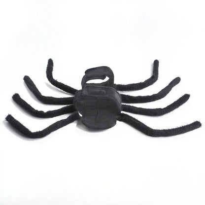 Pet Halloween Fun Spider Costume