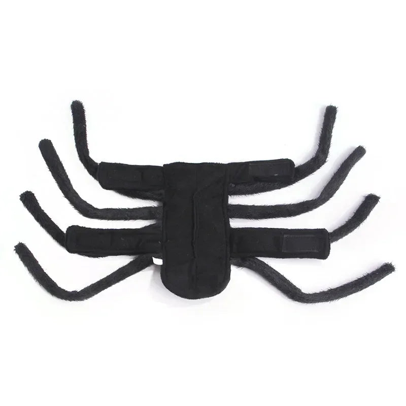 Pet Halloween Fun Spider Costume