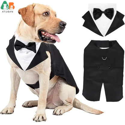 Dog suit costume