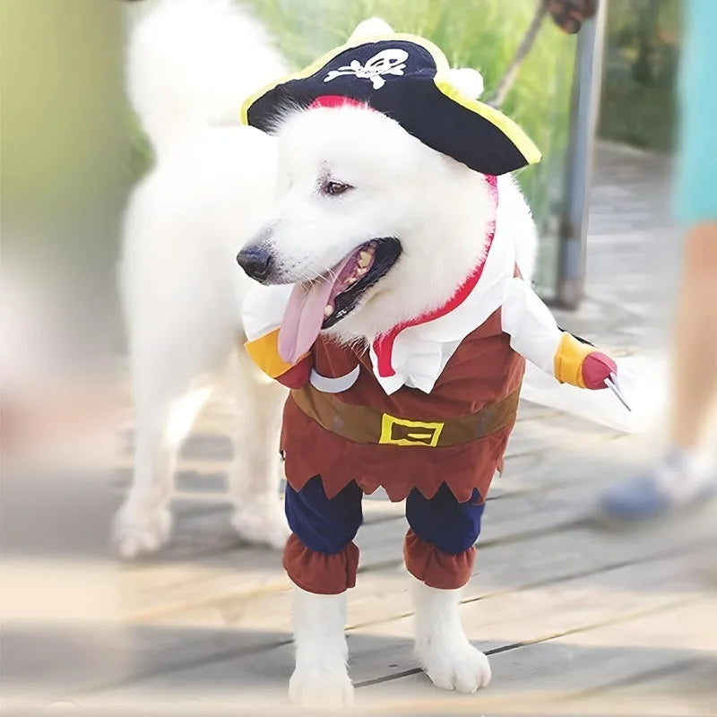 Pet Pirate Costume