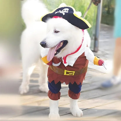 Pet Pirate Costume