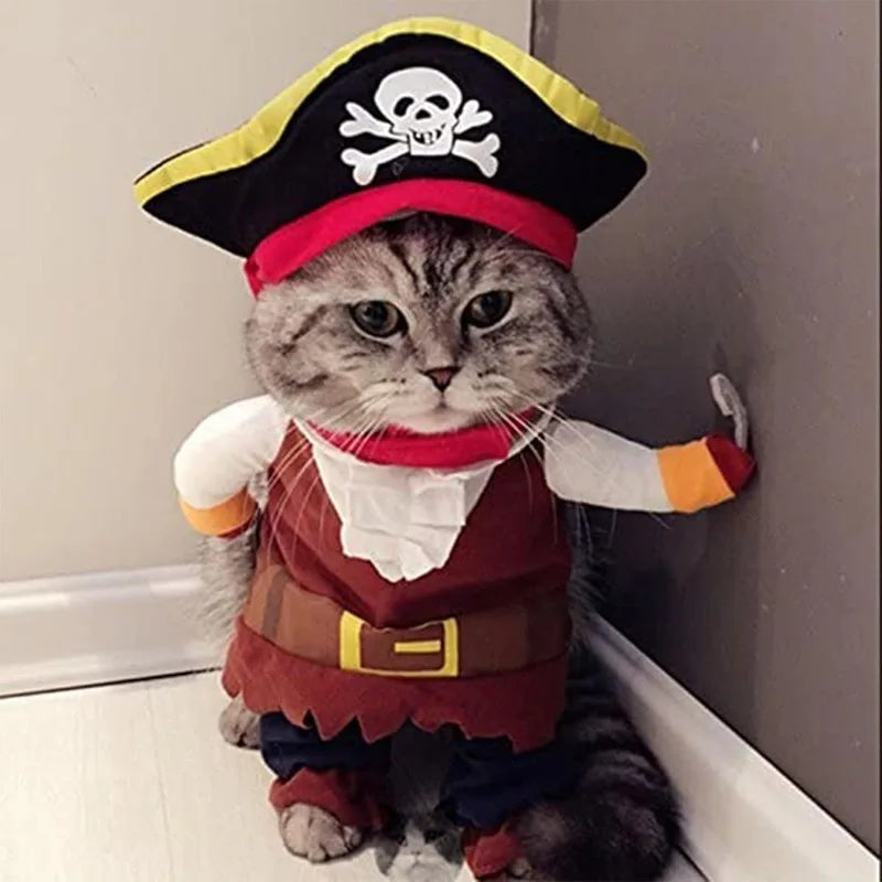 Pet Pirate Costume