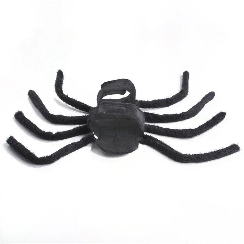 Pet Halloween Fun Spider Costume