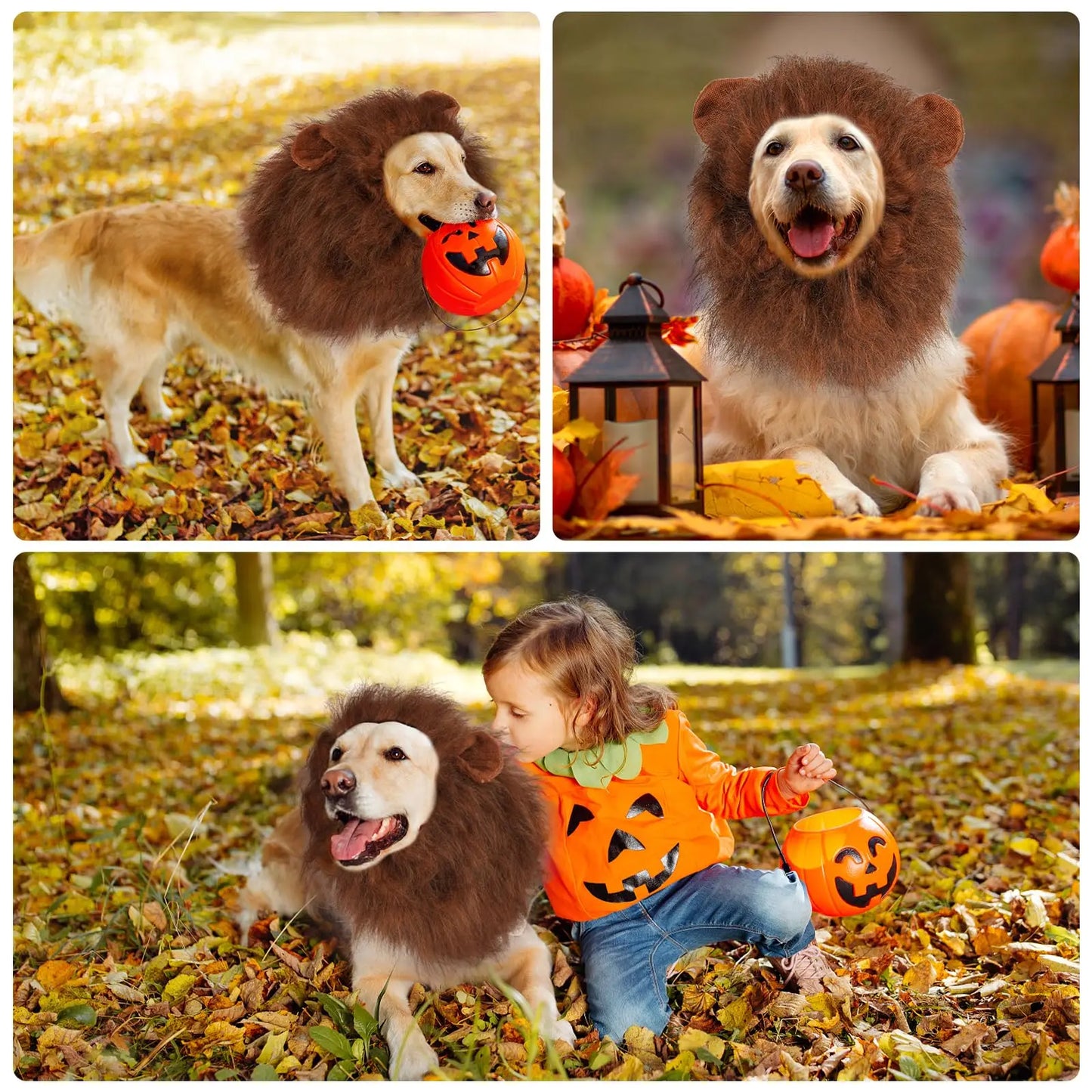 Lion Mane Dog Costume